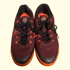 Item thumbnail for item 44d0015e-36f5-46c7-a512-b98944436da8