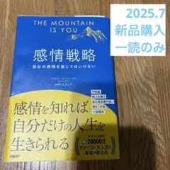 2025.7 新品購入一読のみ 感情戦略 THE MOUNTAIN IS YOU