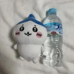 ちいかわ ハチワレ ぬいぐるみ