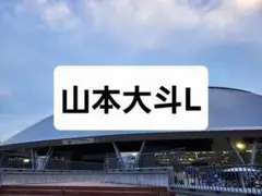 (写真無いのは申し訳ない)新品未開封#61山本大斗L