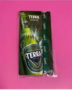 コンユTERRA 公式リップ