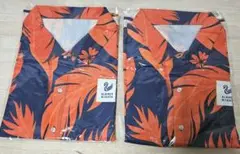 Item thumbnail for item 15d5da31-f504-4c50-94f1-317cae498fc5