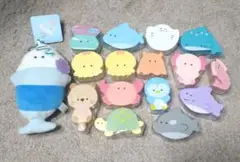 つぶらな瞳シリーズ つぶらな瞳の水族館　つみき　つぶらな瞳のマリン