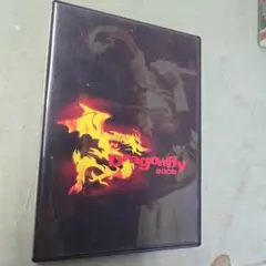 D-Dragonfly 2006 DVD【注意書き1000円】