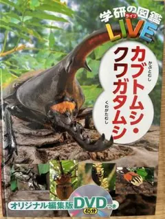 Item thumbnail for item 85e6cc21-5108-47e2-bccc-0ab9d02249a7