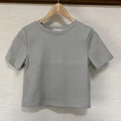 グレー 半袖ラメニット