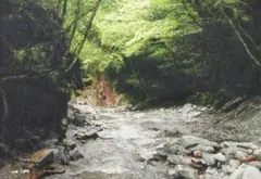 SM◆渓流◆真作新品【パステル＋水彩＋色鉛筆＋アクリル】◆防水丁寧梱包◆奥秩父