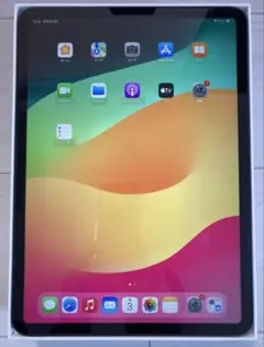 Apple iPad 11インチ スペースグレー 本体（第一世代）