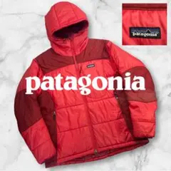 【格安】Patagonia パフジャケット　ダスパーカ　レッド　L L 廃盤 06年 良品 パタゴニア ダスパーカ ジャケット 赤