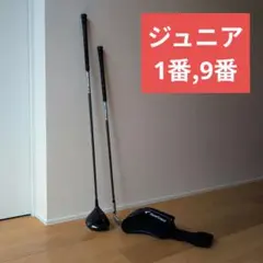 Item thumbnail for item ce3585bc-4a4c-4fab-a2d2-69e31031c537