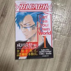 BLEACH Can't Fear Your Own World 1