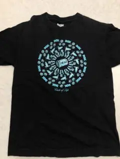 DGK Tシャツ　M