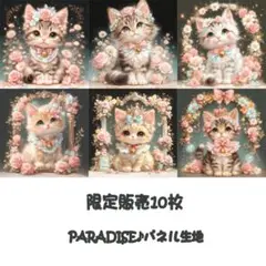 PARADISEパネル生地　 限定販売10枚　猫柄　P81