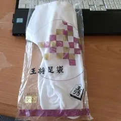 Item thumbnail for item c0a31494-4713-45a6-8276-0d98fa6bd8f9