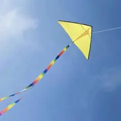 Item thumbnail for item 3781e990-6444-4cfb-87f5-958058fbf3a5