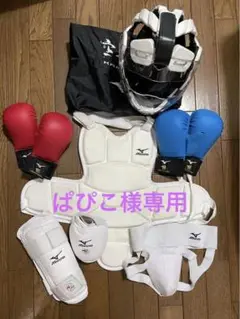 キッズ空手防具セット