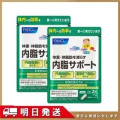 内脂サポート*2