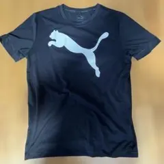 プーマ PUMA◇Tシャツ DRY 速乾 ビックロゴ ランニング M