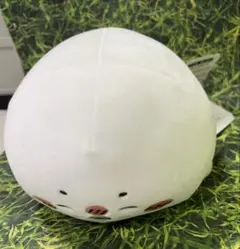 ナガノの水族館 アザラシぬいぐるみくじ C賞 ぬいぐるみ小