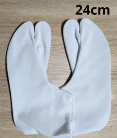 Item thumbnail for item cb769567-a2d1-4234-93ac-cf6d5ca994e7