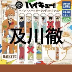 ハイキュー!! ペイントスーツガーランドコレクション