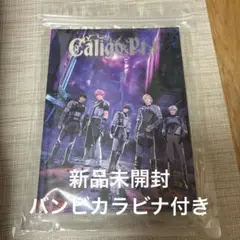 plave caligopt.1 FugitiveVer アルバム(バンビ)