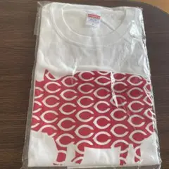 Big-Pig オリジナル Tシャツ Mサイズ　広島カープ　カープ