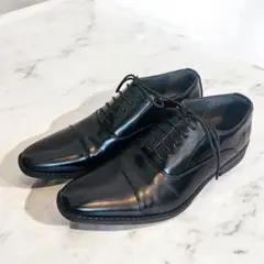サンエープラス レースアップ 内羽根 ストレートチップ　25cm　メンズ