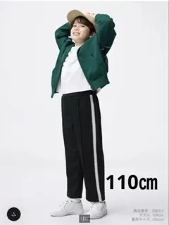 Item thumbnail for item 209a25d6-8939-494e-bd53-d8c5c2e8dffa