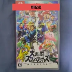 大乱闘スマッシュブラザーズ　ソフト