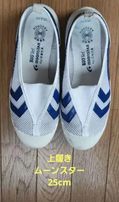 ムーンスター　25cm　上履き