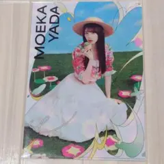 【矢田萌華】乃木坂46 真夏の全国ツアーカフェ2025 クリアファイル