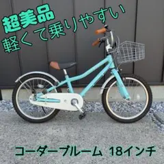レアな水色⭐︎コーダーブルーム　18inch m42777327016_1.jpg?1736076514