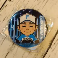 北海道日本ハムファイターズ上川畑缶バッチ
