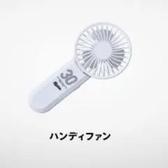 千葉ロッテマリーンズ 30周年記念 ハンディファン