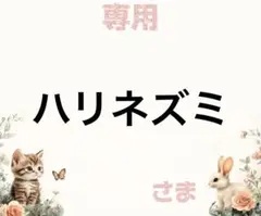 専用
