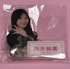 Item thumbnail for item 91dae4a0-e815-41d4-b5ec-254afa40cd0d