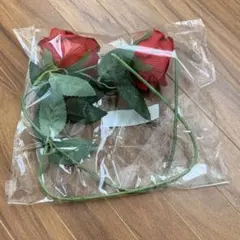 Item thumbnail for item 2beb277a-759c-435e-a8e0-6205ac1a37b2