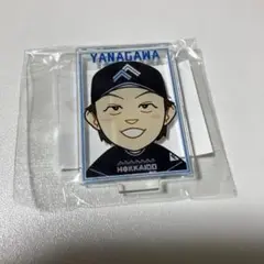 北海道日本ハムファイターズ 柳川大晟 アクリルスタンド