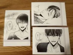 踏んだり、蹴ったり、愛したり ぱしゃこれ 五百森泰