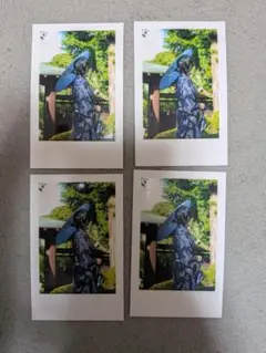 Item thumbnail for item ca1c3e8f-4fc6-45f8-a77b-fb6dc71598fa