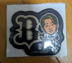 Item thumbnail for item af7ab783-a785-4488-8816-e916cc09304b