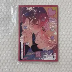変態ストーカーに狙われてます みん未 アニメイト 小冊子