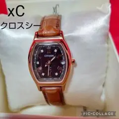 xC / クロスシー 100周年記念モデル 世界限定1500本 ES9352