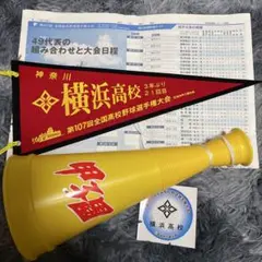 横浜高校 応援メガホンとペナントセット