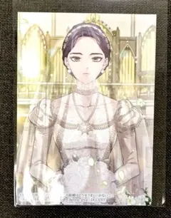 【特典のみ】この結婚はどうせうまくいかない 2