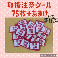 Item thumbnail for item 0d2a45e7-ac8e-426a-aee3-bee92d7c02fd