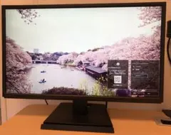 【訳あり】23.8インチ ディスプレイ I・O DATA EX-LDH241DB