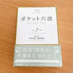 ポケット六法 令和7年版