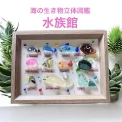シーグラスアート❣️海の生き物立体図鑑　水族館の仲間　アクアリウム　英語